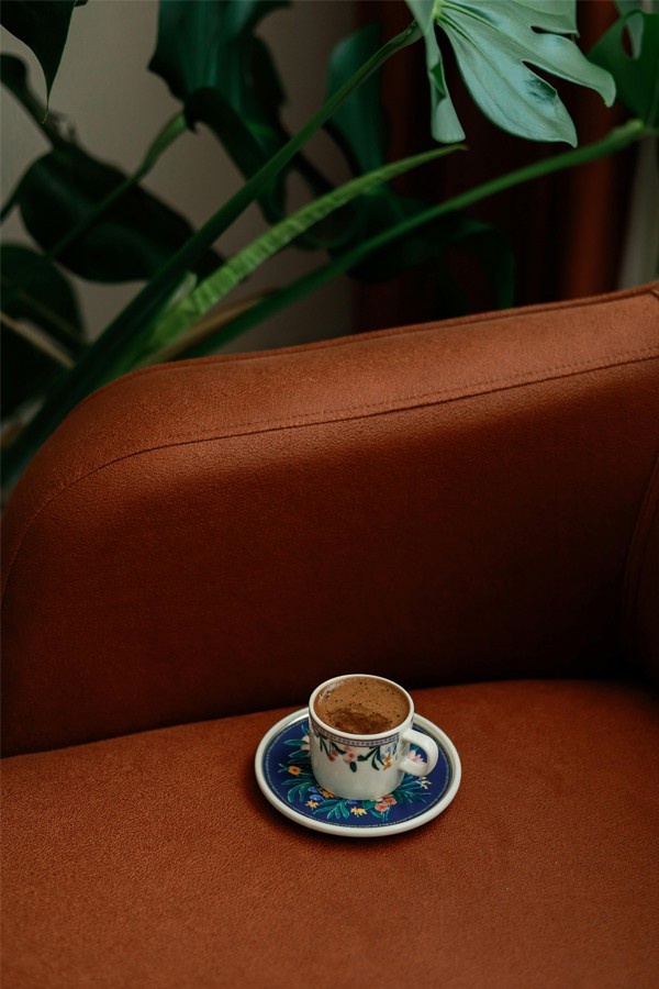 Metamorhosis x essentials